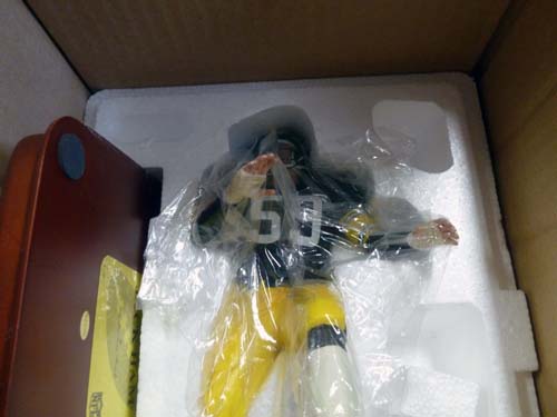 danbury mint pittsburgh steelers figures image 2