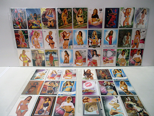 image of Benchwarmers Swimsuit model card lot